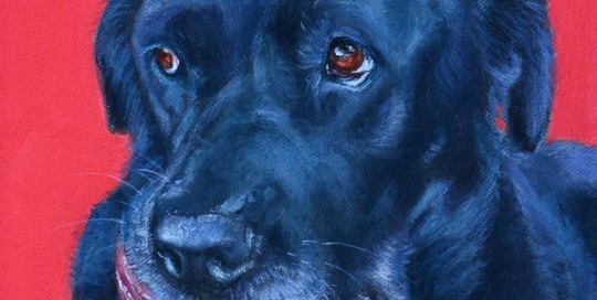 Black Labrador painting