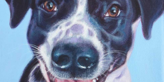 Dog portrait - Deborah Cullen