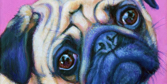 Dog portrait of a Pug - paintmypet