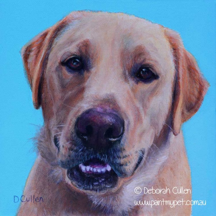 Golden Labrador dog portrait