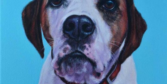 Beagle X dog portrait painting