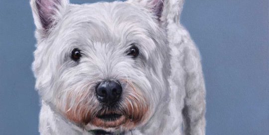 West Highland Terrier Painting