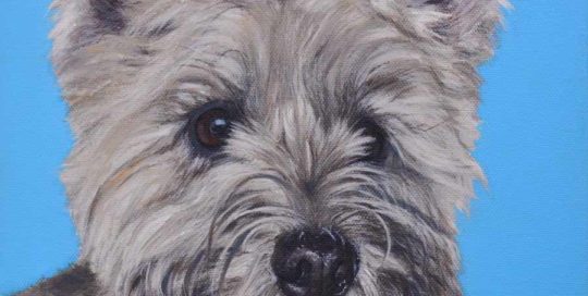Cairn Terrier painting