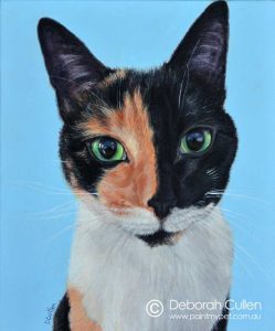 pet portrait of a chimera cat