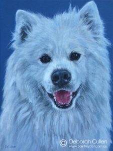 Dog Portrait of a white Samoyed