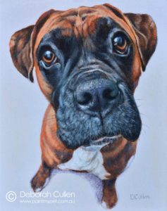 Painting of Buddy the Boxer