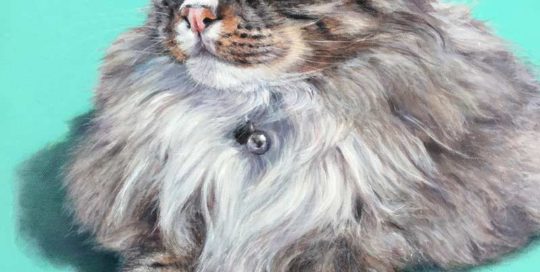 Acrylic long haired cat portrait