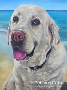 Pet portrait of a Blonde Labrador
