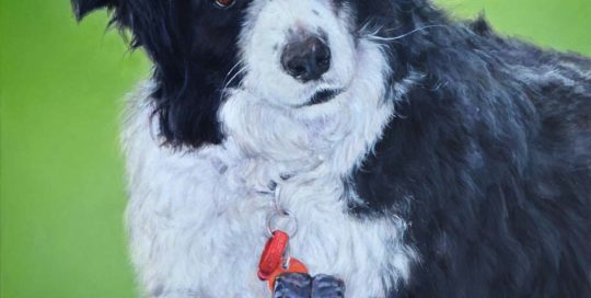 Border Collie Painting