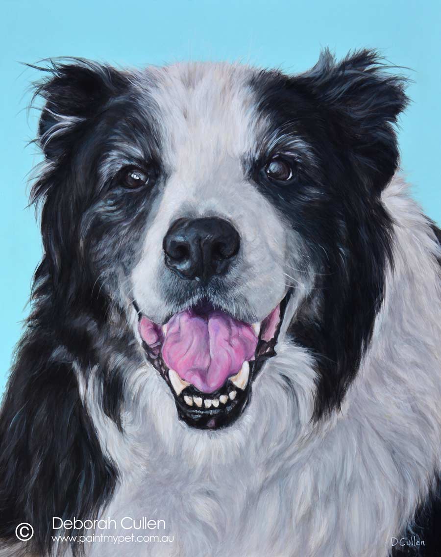 Border Collie painting
