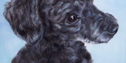 Toy Poodle painting