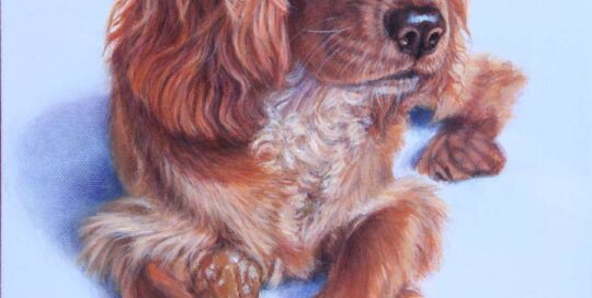 Pet Portrait Painting of a dog