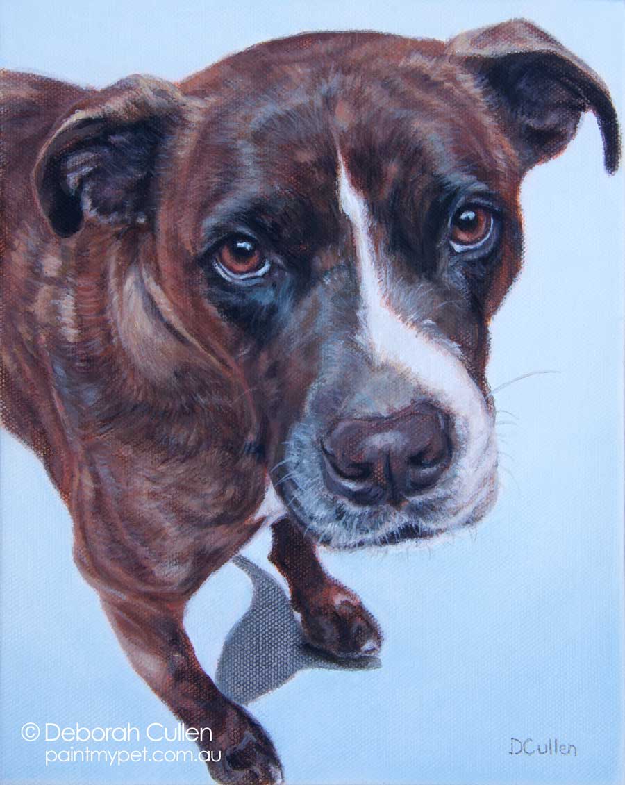 Lucy - commissioned dog portrait