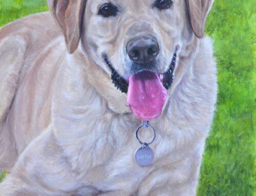 Baxter – Golden Labrador Dog Portrait