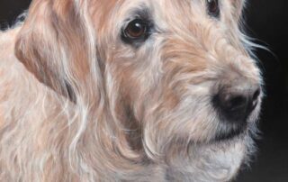 Custom dog painting of a Labradoodle