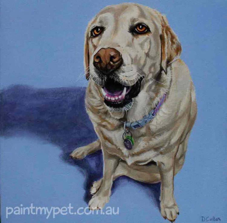 Dog portrait of a Golden Labrador