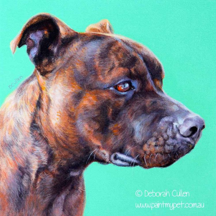 Staffordshire Bull Terrier Painting