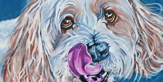 Maltese Terrier dog painting