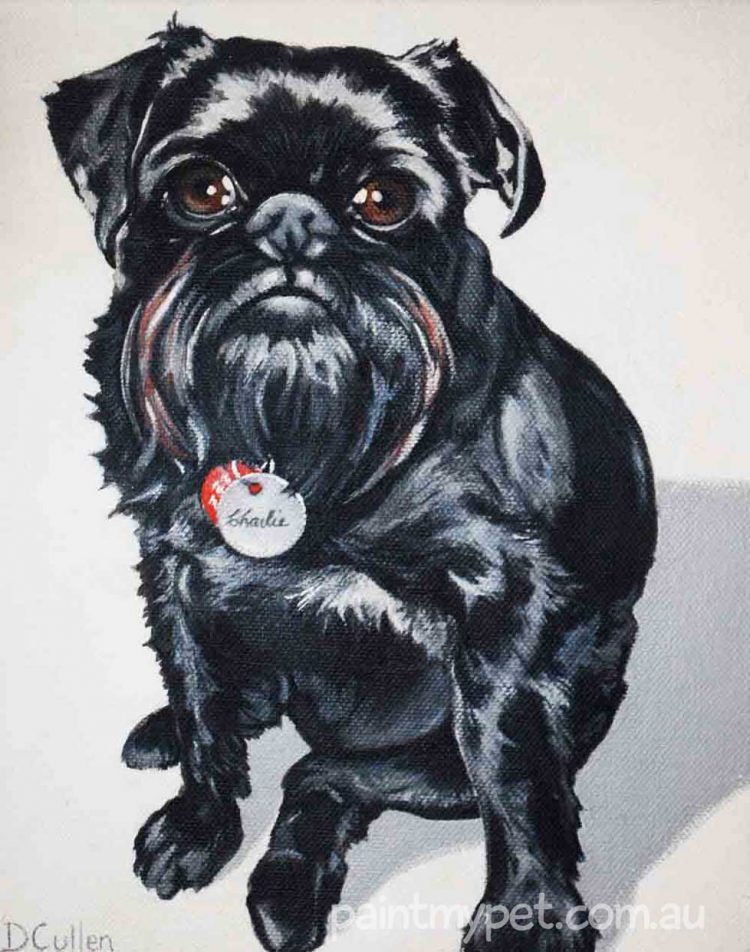 dog portrait, paintmypet