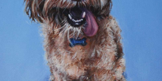 Poodle Portrait - paintmypet