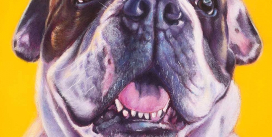 Bulldog painting
