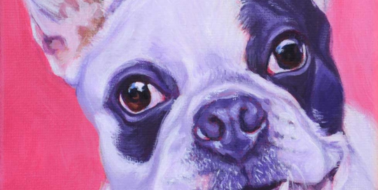 Dog painting of a French Bulldog