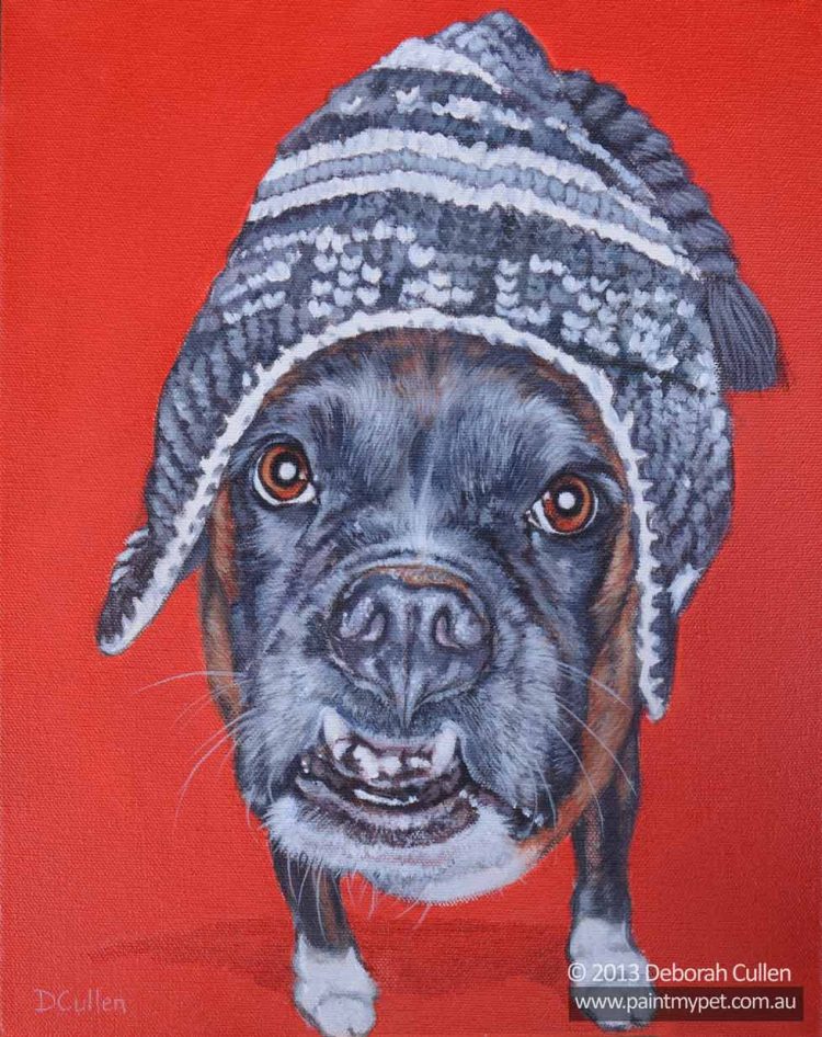 Dog portrait of a Boxer