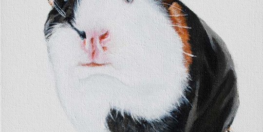 Guinea Pig Painting