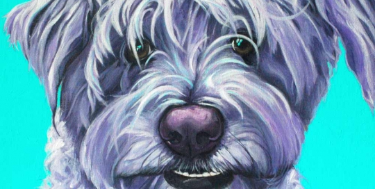 Schnoodle painting - paintmypet