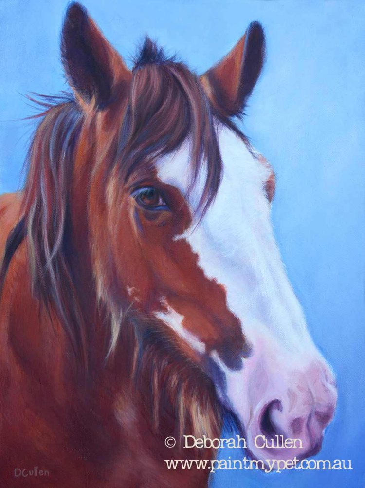 Portrait of a Clydesdale horse