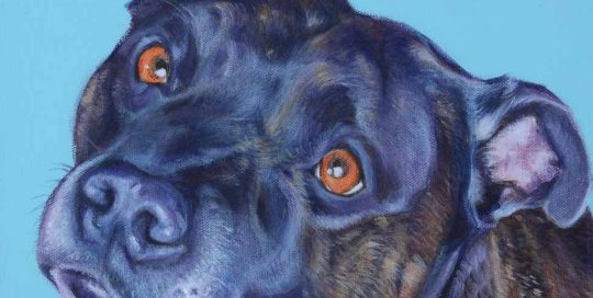 Brindle Staffordshire Bull Terrier Painting
