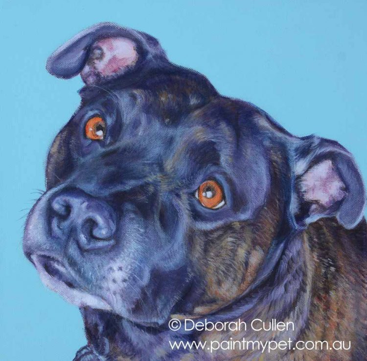 Brindle Staffordshire Bull Terrier Painting