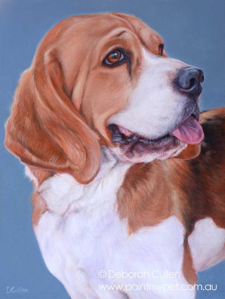 Beagle Pet Portrait