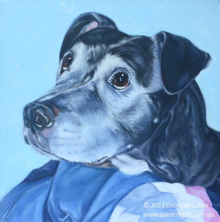 Pet portrait of a Staffordshire Bull Terrier