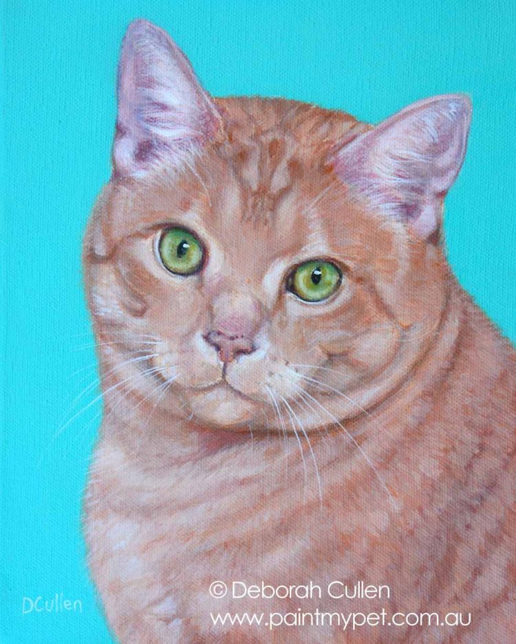 Ginger cat portrait
