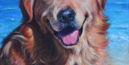 golden retriever dog portrait painting