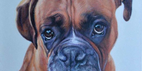 Archie - Boxer Dog Portrait Painting