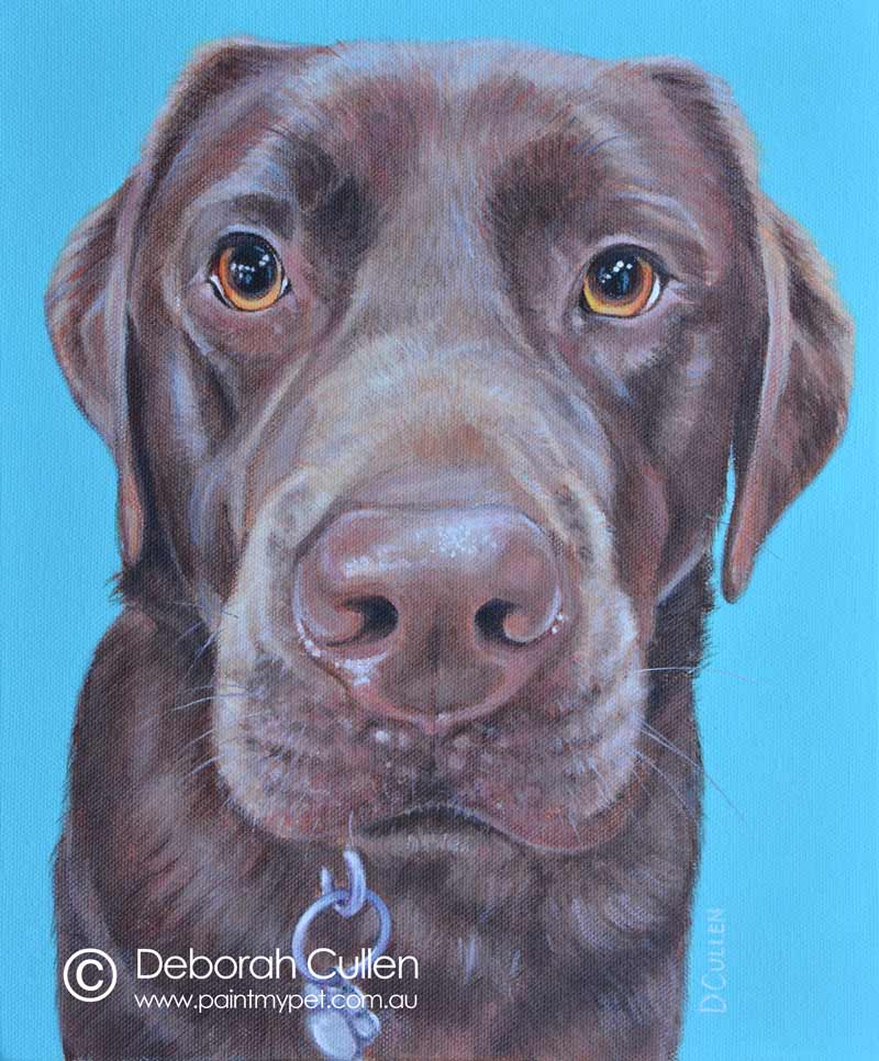 Barney - Chocolate Labrador Dog Portrait