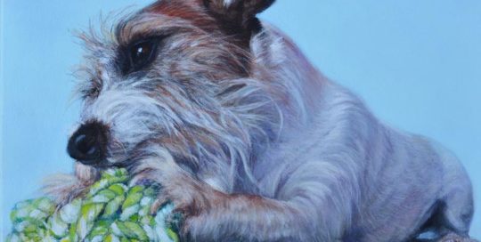Jack Russell Terrier painting