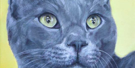 Painting of a grey cat