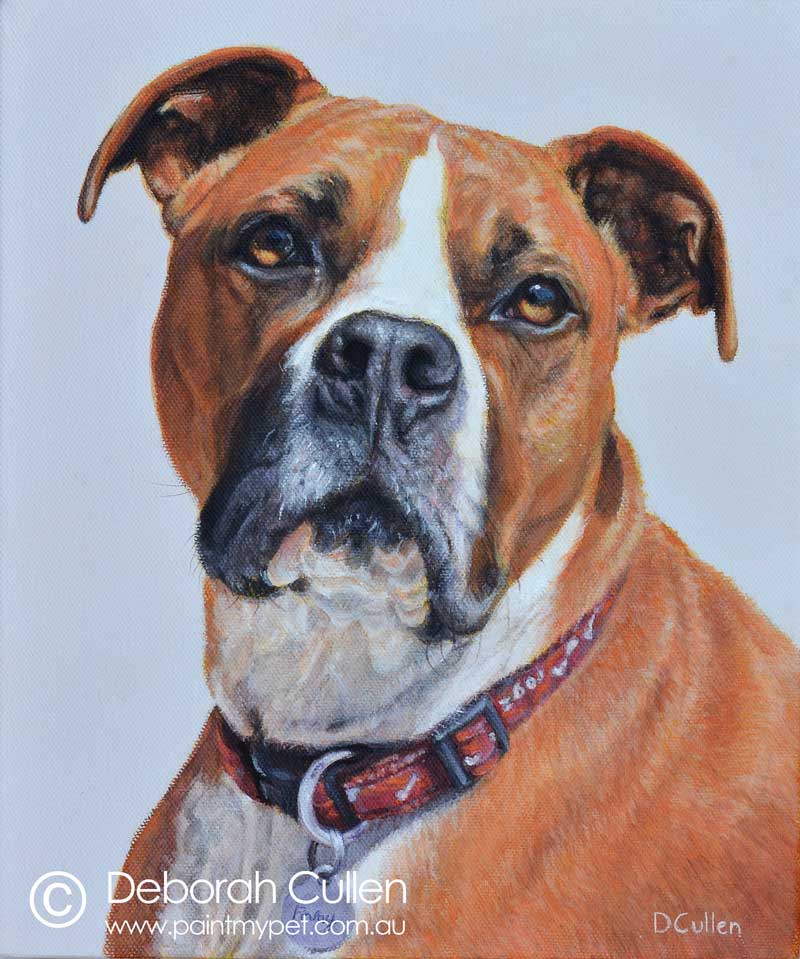 American Staffordshire Terrier Portrait Painting