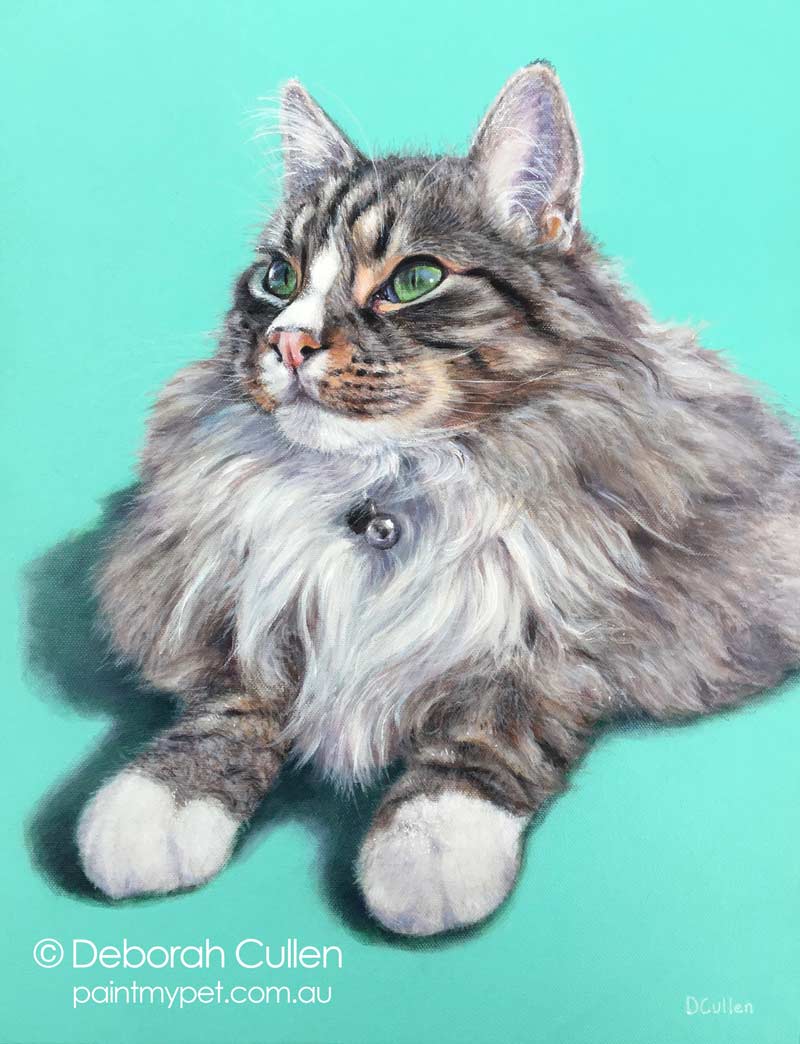 Acrylic long haired cat portrait