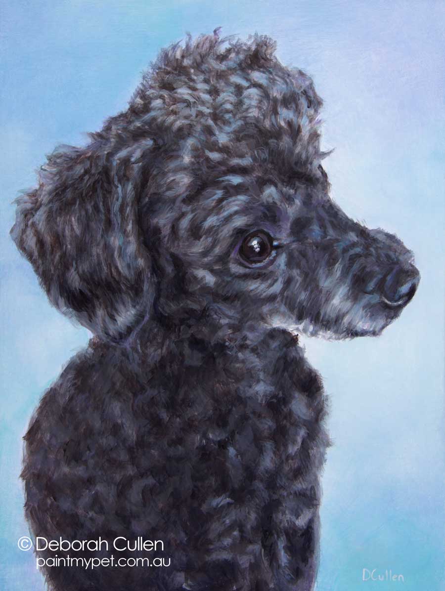 Toy Poodle painting