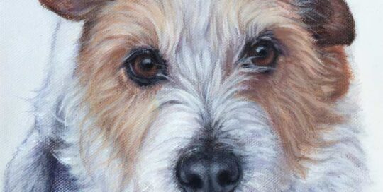 Dog painting of a Jack Russell