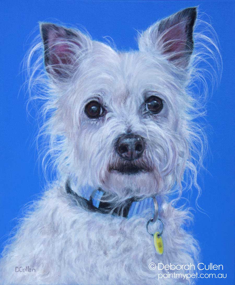 Maltese Terrier x Jack Russell painting